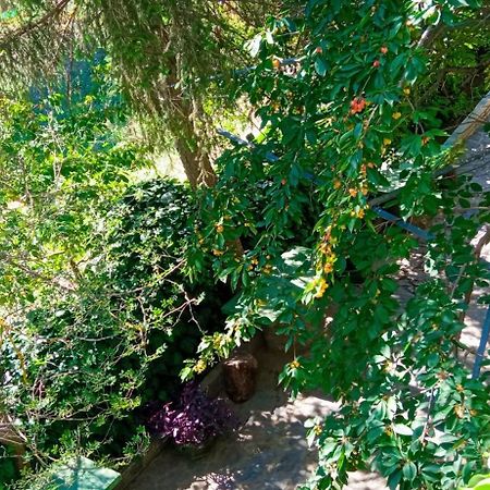 Lassithi Plateau Traditional Suite Agios Georgios  Exterior foto