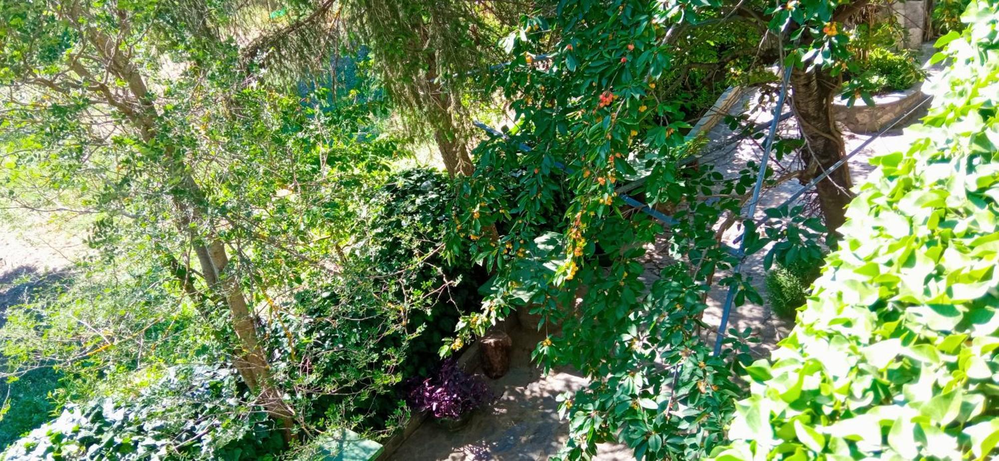 Lassithi Plateau Traditional Suite Agios Georgios  Exterior foto